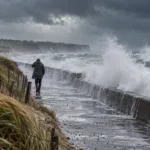 Silny wiatr w Hauts-de-France w środę 21 października – żółty alert w Somme, Pas-de-Calais i Nord, w piątek porywy do 105 km/h