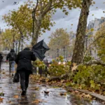 Pierwsza jesienna burza w piątek 23 października – w Paryżu i regionie paryskim porywy wiatru do 90 km/h, ryzyko łamania drzew